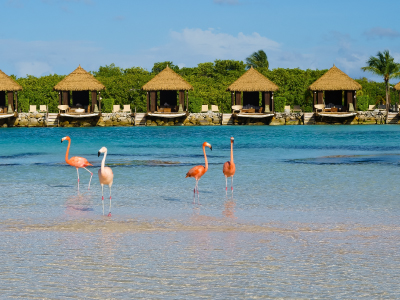 Aruba