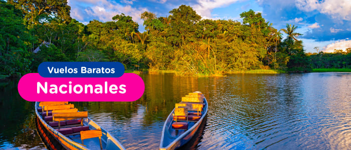 Vuelos Nacionales