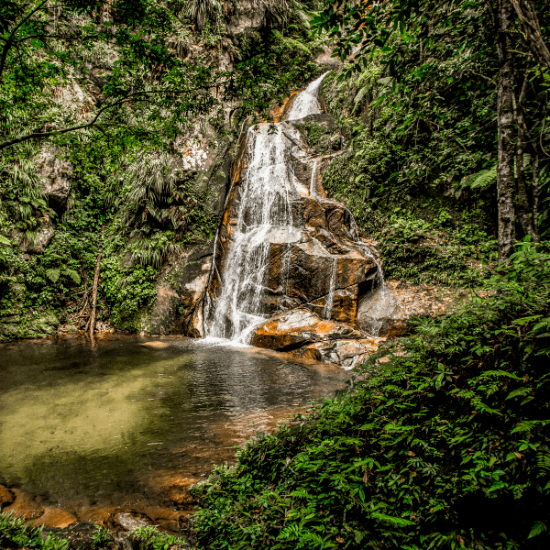 Imagen de Tarapoto